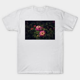 Lantana In Bloom T-Shirt